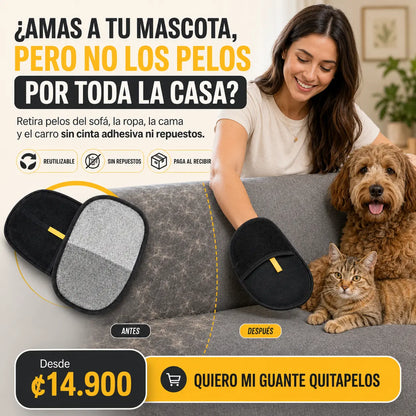 ¡BASTA DE PELOS DE MASCOTA POR TODA LA CASA!